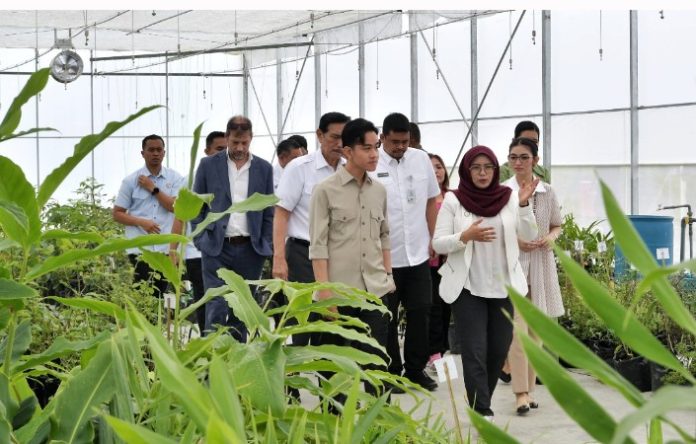 Teks Foto :  Gubernur Sumatera Utara (Sumut) Muhammad Bobby Nasution dan Ketua TP PKK Sumut Kahiyang Ayu mendampingi Wakil Presiden (Wapres) Republik Indonesia Gibran Rakabuming serta istri Selvi Gibran Rakabuming meninjau Taman Sains Teknologi Herbal dan Hortikultura (TSTH2) di Kecamatan Pollung, Kabupaten Humbang Hasundutan, Jumat (16/05/2025).(Foto : Ist)