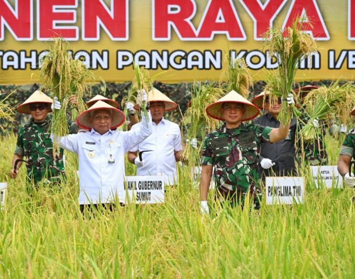 Teks Foto : Wakil Gubernur Sumatera Utara (Sumut) Surya bersama Panglima TNI Jenderal TNI Agus Subiyanto melakukan Panen Raya Padi Lahan Ketahanan Pangan Kodam I / Bukit Barisan di Desa Perkebunan Ramunia Kecamatan Pantai Labu, Kabupaten Deliserdang, Kamis (10/07/2025).(Foto : Ist)