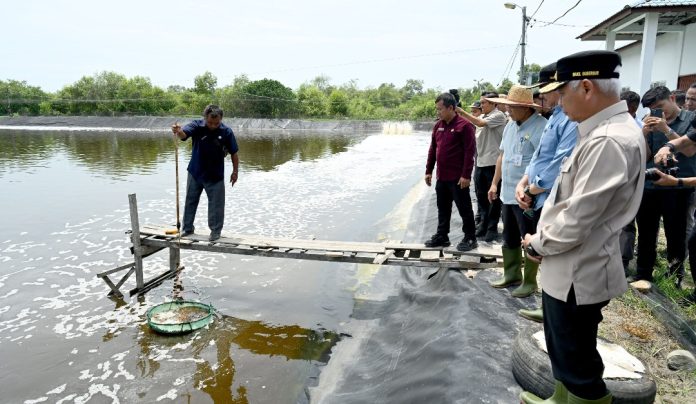 Teks Foto : Wakil Gubernur Sumatera Utara Surya bersama Pj Sekretaris Daerah Provinsi Sumut Sulaiman Harahap meninjau Unit Pelaksana Teknis Daerah (UPTD) Budidaya Ikan Air Payau dan Laut (BIAPAL) di Desa Pekan Sialang Buah, Kecamatan Teluk Mengkudu, Kabupaten Serdangbedagai, Selasa (12/5/2026). (Foto : Ist) 